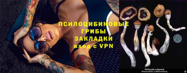 синтетический гашиш Костерёво