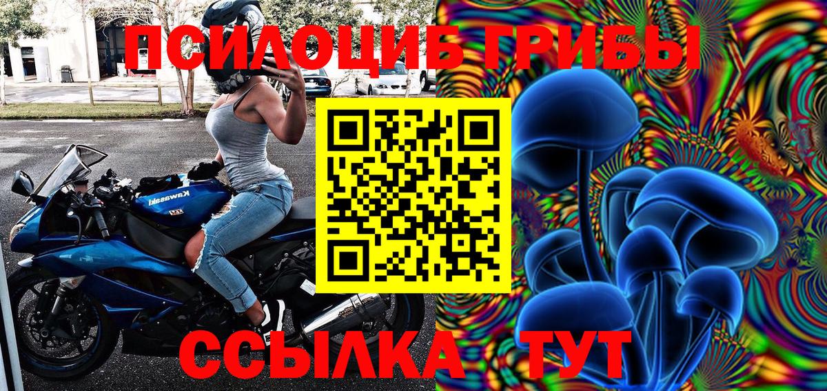 Псилоцибиновые грибы Psilocybe Мичуринск