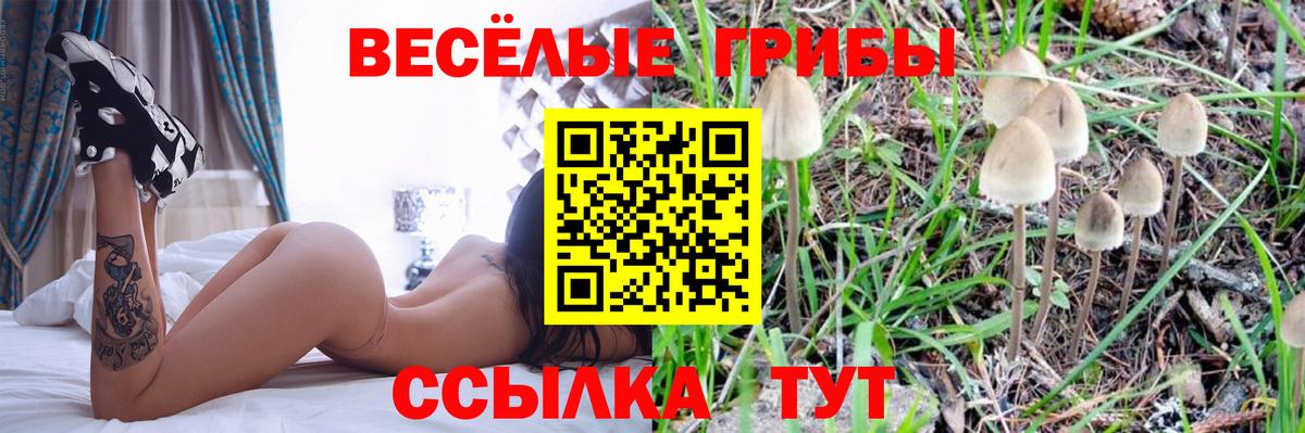 Мичуринск  Галлюциногенные грибы мухоморы  цены наркотик  Галлюциногенные грибы MAGIC MUSHROOMS  Вход с VPN 